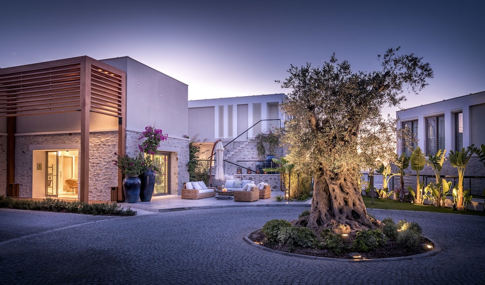 Allium Villas Bodrum - Interior Entrance