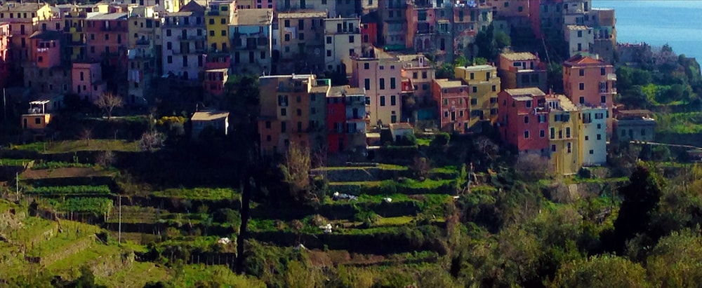 Il Magan Cinque Terre