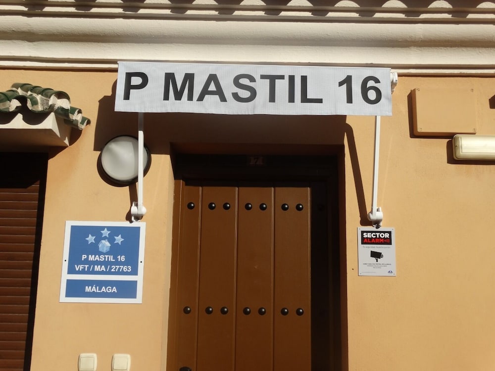 P Mastil 16 - Featured Image