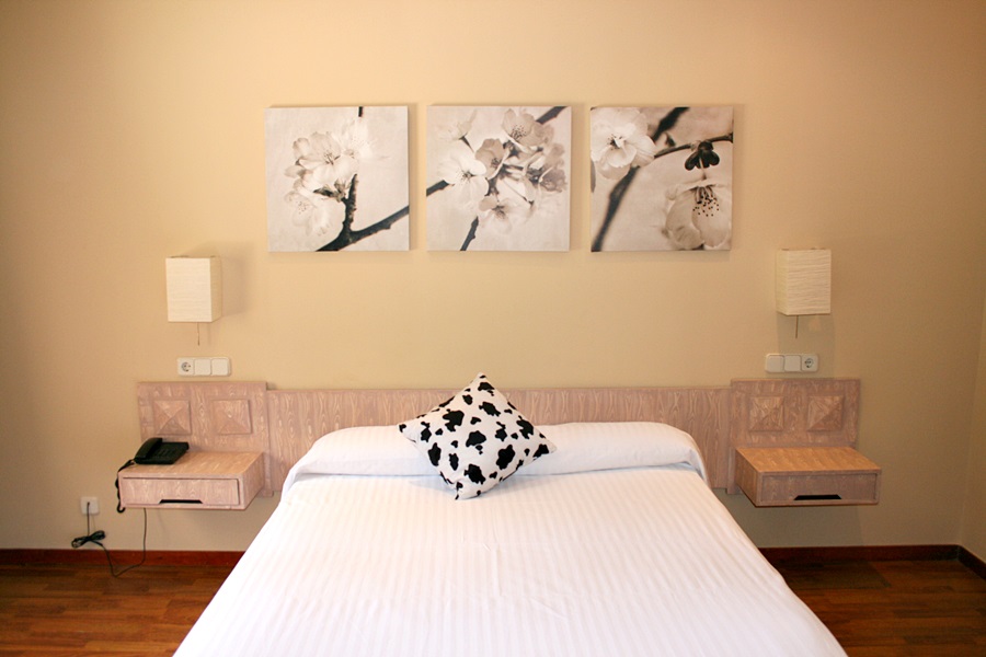 HOTEL LOS OLIVOS